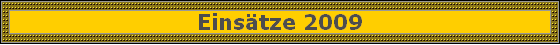 Eins�tze 2009