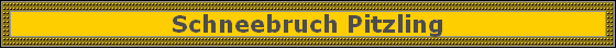 Schneebruch Pitzling